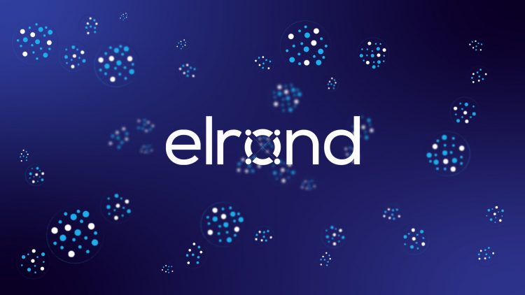 ما هي عملة Elrond إلروند، ما مشروعها وهل ينصح بالاستثمار فيها؟